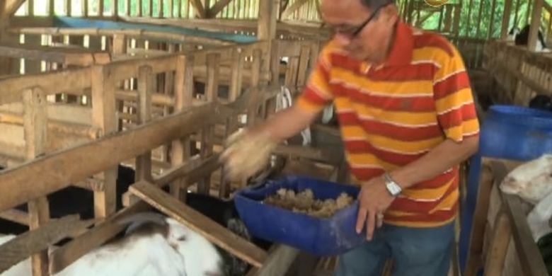 Cara Beternak Kambing Perah Agar Menghasilkan Susu Kambing Berkualitas Halaman All Kompas Com