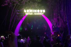 Luminous Safari Journey, Keseruan Libur Nataru di Taman Safari Bogor