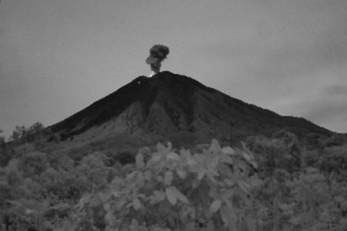 Visual erupsi Gunung Semeru dengan letusan setinggi 600 meter, Jumat (9/5/2025).