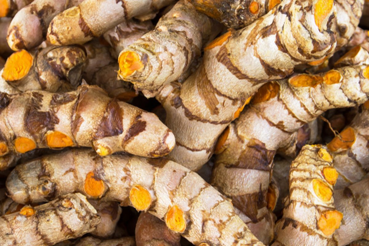 Kunyit, tanaman herbal untuk menurunkan asam lambung