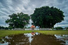 Istimewa, Ini Makna dan Filosofi 10 Pohon di Keraton Yogyakarta