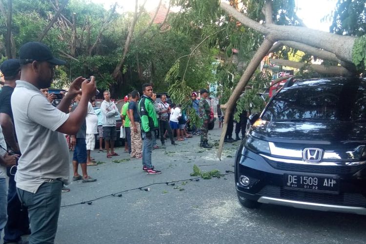 Sebuah pohon tumbang dan menimpa mobil dan sepeda motor di Jalan Diponegoro, Kecamatan Sirimau Ambon, Sabtu (16/3/2019)