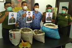 Terungkap, 3 Orang di Sumut Jual Sisik Trenggiling dan Paruh Rangkong Gading di Media Sosial