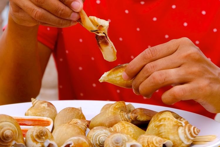 Gonggong, makanan laut bernilai gizi tinggi.