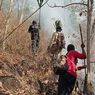 Ini Jumlah Kerugian Taman Nasional Baluran Selama Sepekan Karhutla