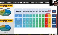 Pada 2025, Ditjen EBTKE Target PLTBG Capai Kapasitas 5,5 GW 