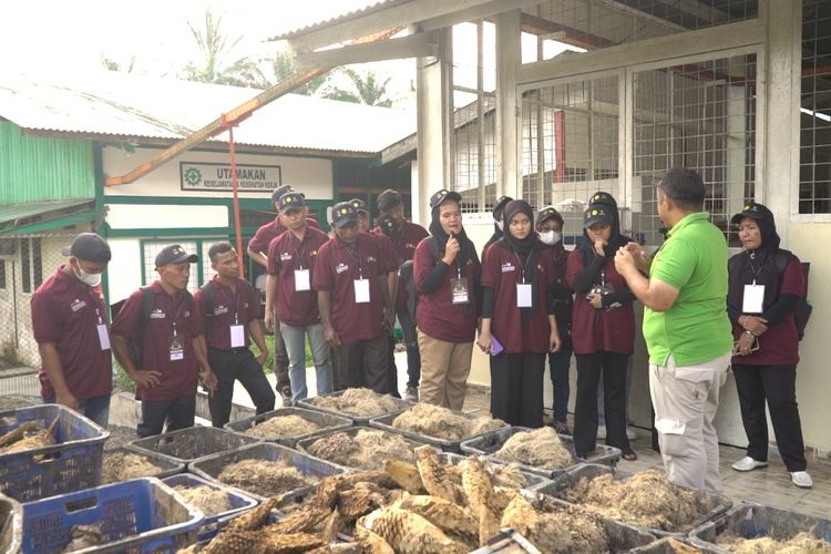 Badan Pengelola Dana Perkebunan Kelapa Sawit (BPDPKS), unit di bawah Kementerian Keuangan, membuat program pengembangan sumber daya manusia (SDM) perkebunan kelapa sawit.