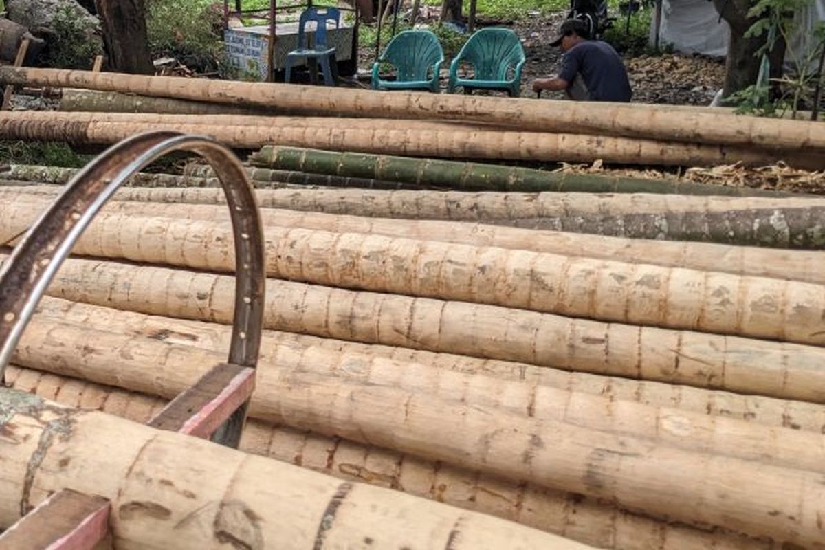 Seorang pedagang menyiapkan batang pohon pinang di kiosnya, Medan Denai, Medan, Kamis (10/8/2023).
