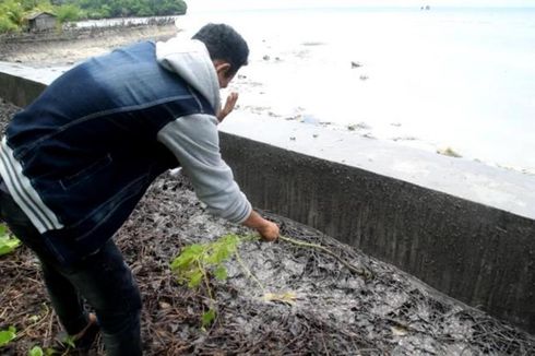 Bau Busuk Tumpahan Minyak Sawit di Buton Selatan Sebabkan Warga Pusing dan Mual