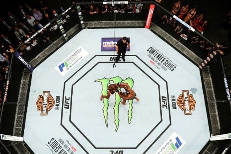 Arena UFC