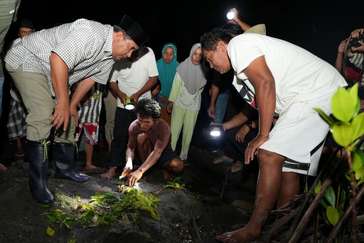 Penjabat (Pj) Gubernur Sulbar Bahtiar Baharuddin melakukan pelepasan induk-anak kepiting bakau di Dusun Lambagu, Desa Sumare, Kecamatan Simboro, Kabupaten Mamuju, Minggu (4/8/2024). 