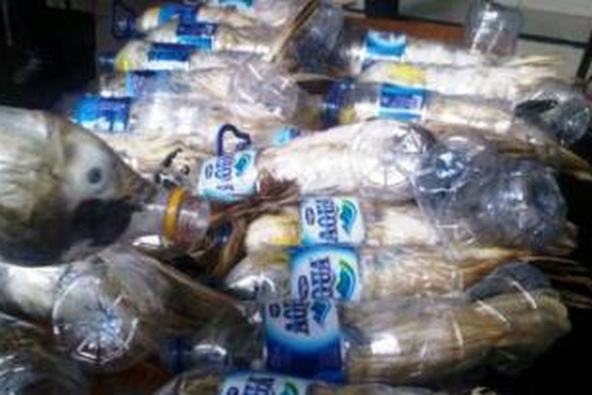 Petugas dari Polres Pelabuhan Tanjung Perak Surabaya berhasil menggagalkan penyelundupan burung kakatua jambul kuning asal Papua yang dimasukkan dalam botol plastik air minum, 6 Mei 2015.