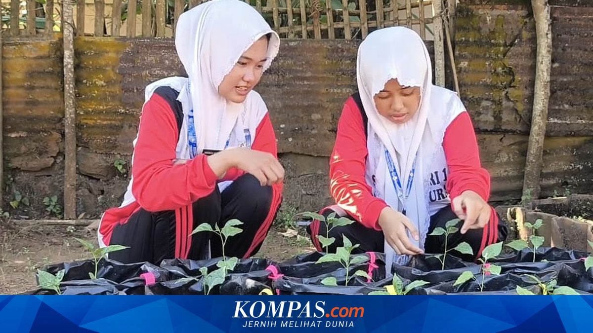 Siswi di Pulau Bawean Gresik Sulap Limbah Jeroan Ikan Jadi Pupuk Organik Cair