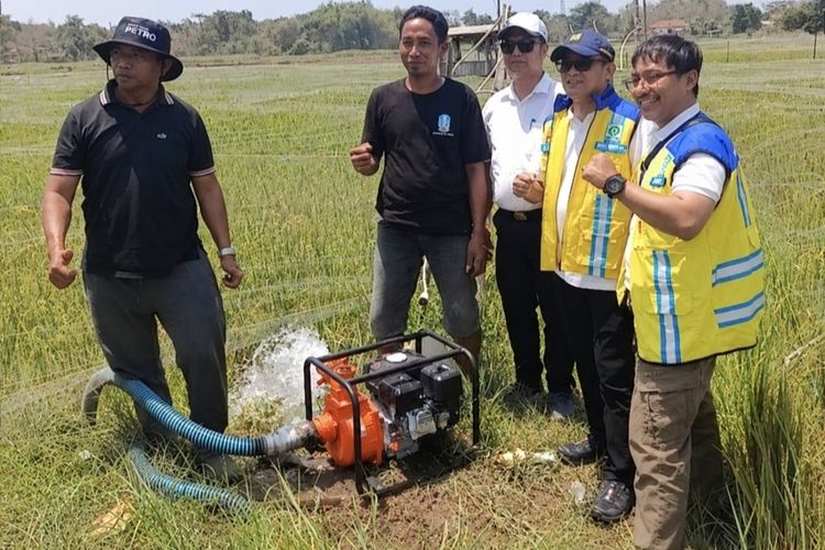 Antisipasi Kekeringan 505 Hektare Sawah di Bangkalan, Pompa Hingga Sumur Pantek Disiapkan
