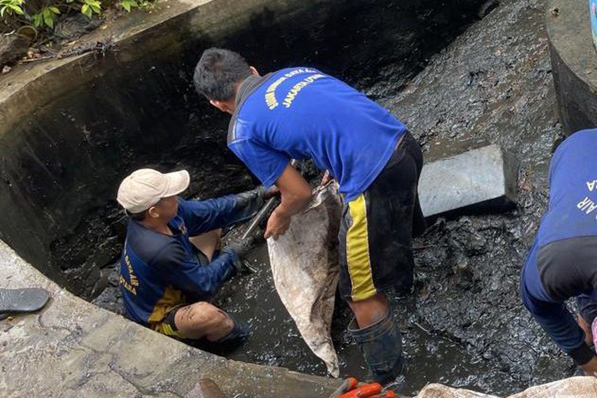 Petugas SDA Jakarta Utara tengah melakukan pembersihan sedimen lumpur dan sampah di saluran air yang ada di Jalan Agung Timur 1, RW 11 Kelurahan Sunter Jaya, Kecamatan Tanjung Priok, Jakarta Utara, Senin (14/2/2022).