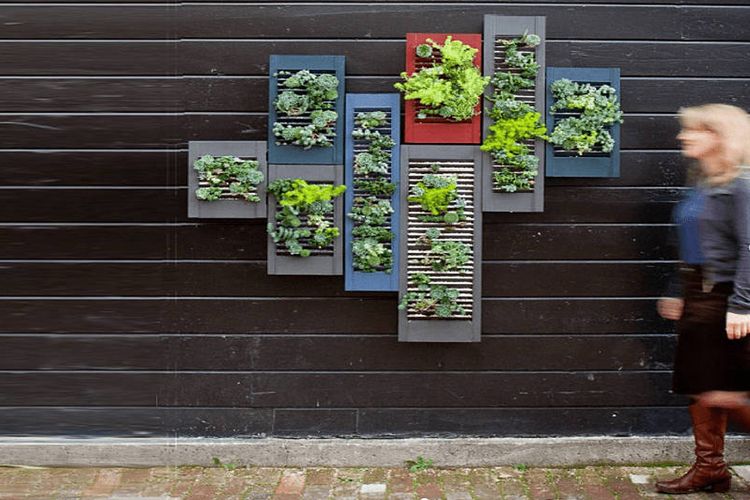 Vertical garden artsy memanfaatkan jendela bekas, karya Lila B Design 