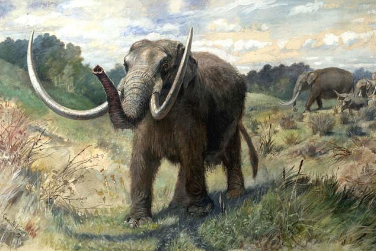 ilustrasi mastodon