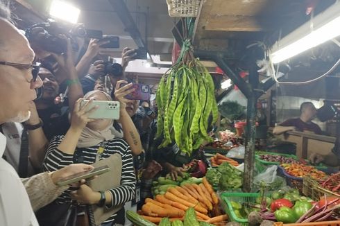 Cek Harga Pangan di Pasar Johar Baru, Mendag Zulhas: Ayam, Telur, Beras Stabil, Cabai Luar Biasa Mahalnya