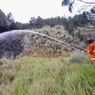 Kebakaran di Gunung Bromo Padam, Penyebab Masih Didalami