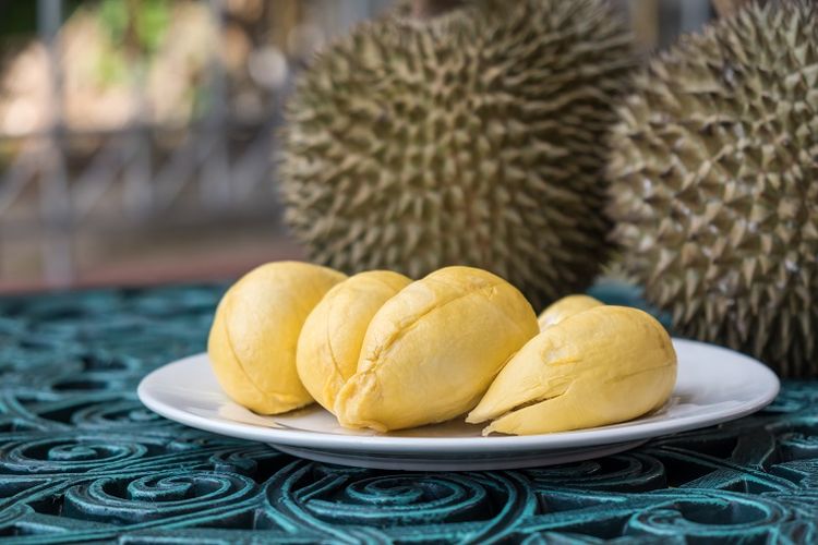 Ilustrasi durian.