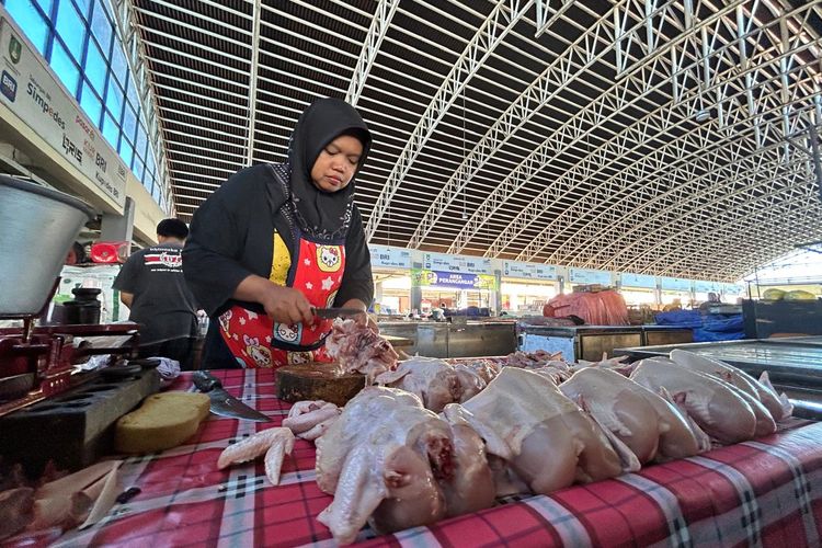 Pinsar Sebut Harga Daging Ayam Anjlok sejak Mei, Jauh di Bawah HPP