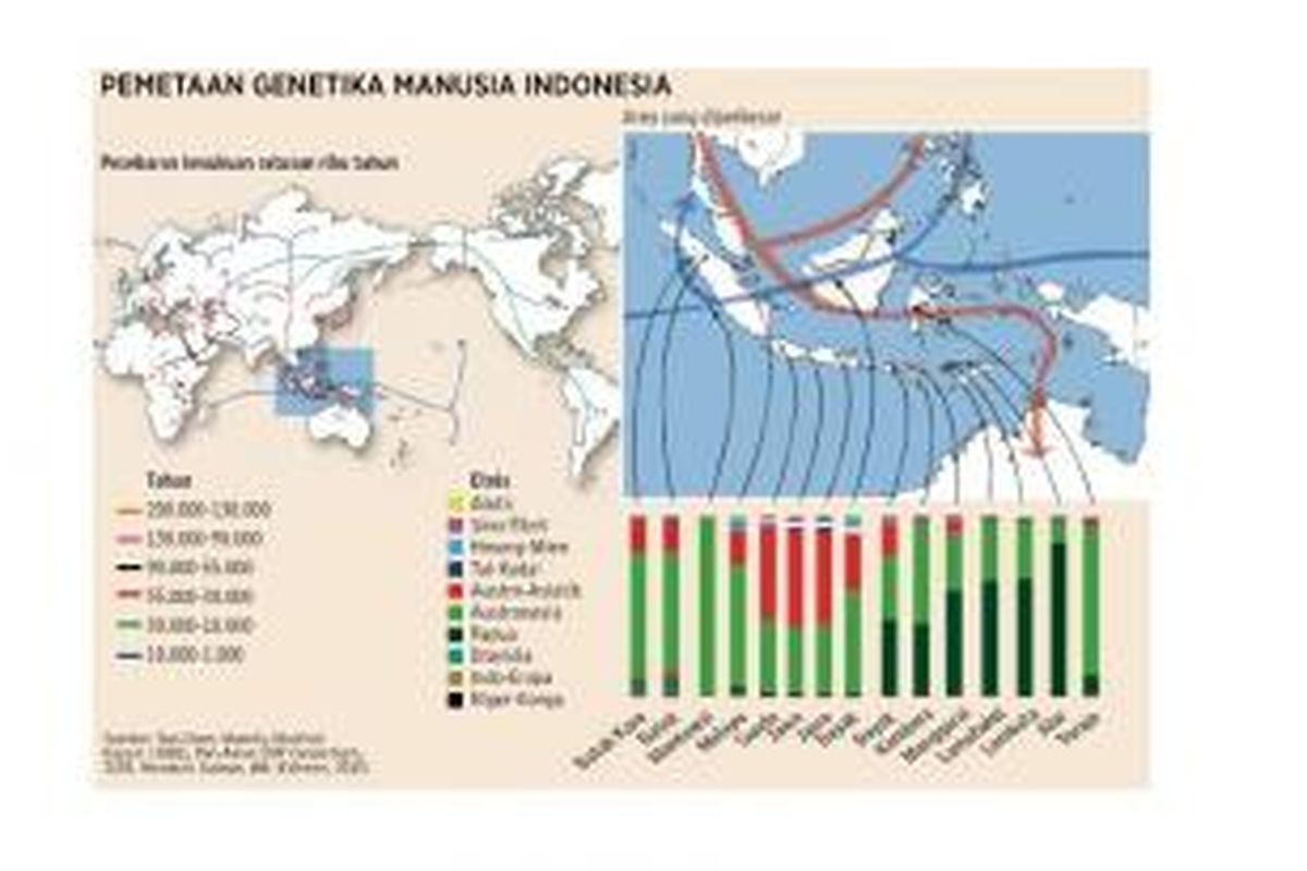 Suku-suku di Indonesia saat ini dan asal-usulnya.