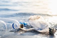 Bahaya Sampah Plastik bagi Lingkungan