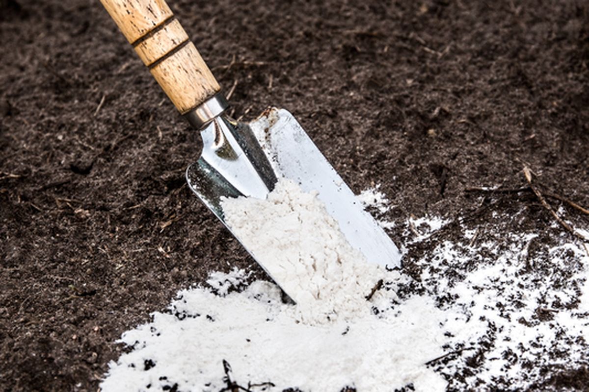 Ilustrasi kapur pertanian, kapur dolomit. 