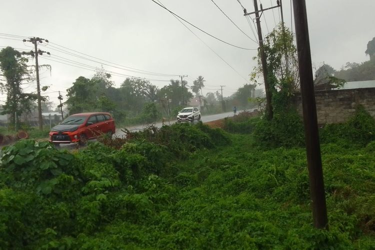 Hujan Pertama Setelah 3 Bulan Bawa Angin Segar, Senyum Petani Luwu Kembali Merekah