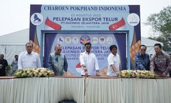 Tembus Pasar Dunia, Indonesia Ekspor Telur Ayam ke Singapura Senilai Rp 1,15 Miliar 