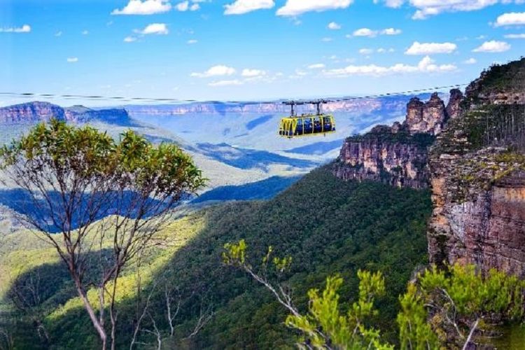 Panorama rainforest di Blue Mountains, Sydney, Australia.