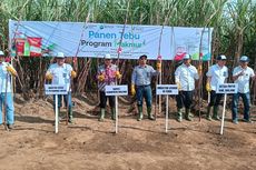 Majukan Pangan Indonesia, ID Food Lakukan Sejumlah Langkah Transformasi Lanjutan