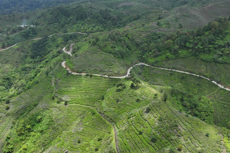 Pemkab Akan Buka Jalan Poros Baru di Bogor Barat, ke Pelabuhan Ratu Lebih Dekat