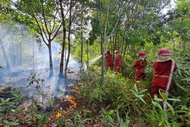 Proses pemadaman lahan yang terbakar di Kabupaten Ogan Komering Ilir (OKI), Sumatera Selatan.