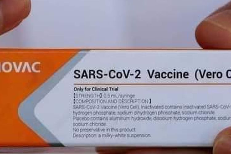 Kandungan yang tertera dalam kemasan Vaksin Covid-19 Sinovac.