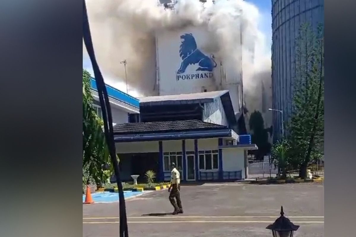 TERBAKAR: Gedung pabrik pakan ternak di kawasan Kima, Kecamatan Tamalanrea, Kota Makassar, Sulsel, terbakar hebat, Senin (1/4/2024).