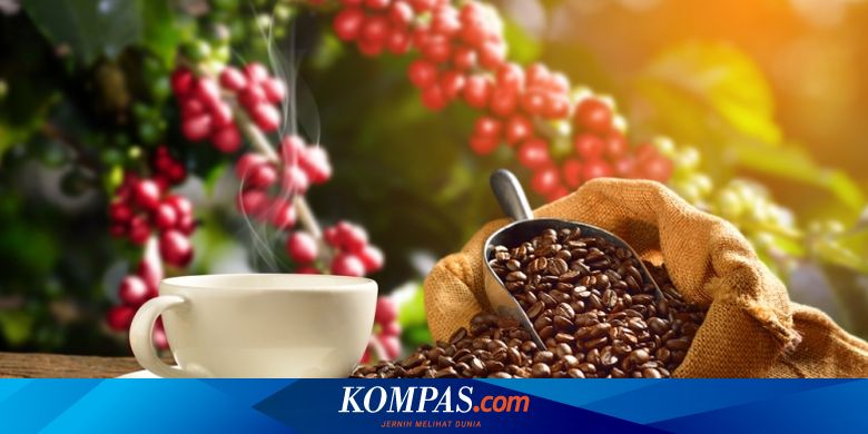5 Wisata Tematik Kopi, Pengalaman Baru Menikmati Kopi Nusantara Halaman