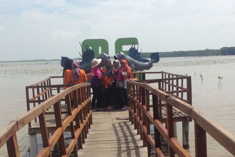 Wisata susur mangrove di Desa Kaliwingi, Kecamatan Brebes, Kabupaten Brebes, Jawa Tengah.