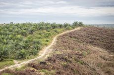 Bahlil Instruksikan Anggota DPRD F-Golkar Siapkan Mitigasi Bencana di Tiap Daerah