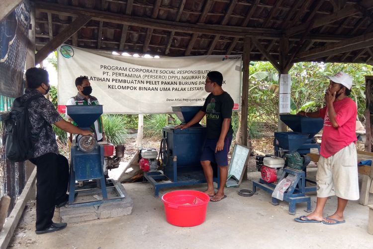 Anggota Kelompok Palak Uma Sari membuat pakan atau pelet untuk Jalak Bali di Subak Sembung, Desa Peguyangan, Denpasar, Bali, Rabu (28/10/2020). 