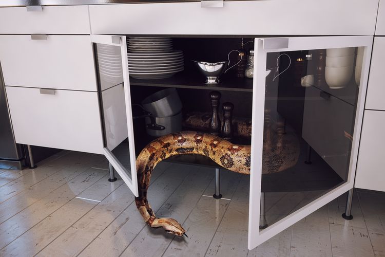 Ilustrasi ular bersembunyi di dapur.