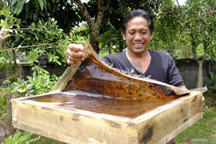 Pemilik UMKM Madu Kele Bee Kamasan, Nyoman Gede Suteja Astha di Klungkung, Bali