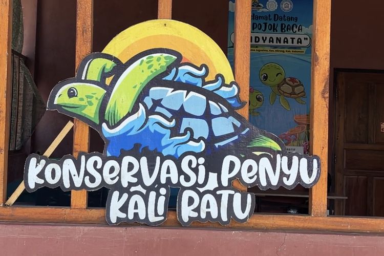 Tempat menyentuh penyu di Konservasi Penyu Kali Ratu, Desa Jogosimo, Kecamatan Lirong, Kebumen, Jawa Tengah.
