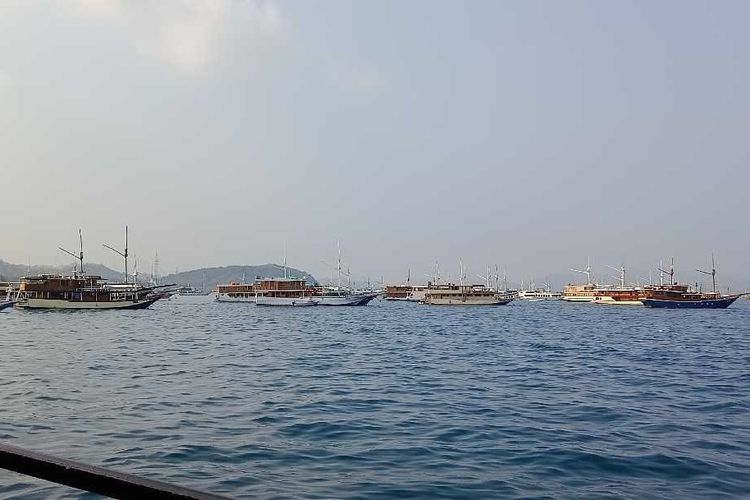 Fenomena 