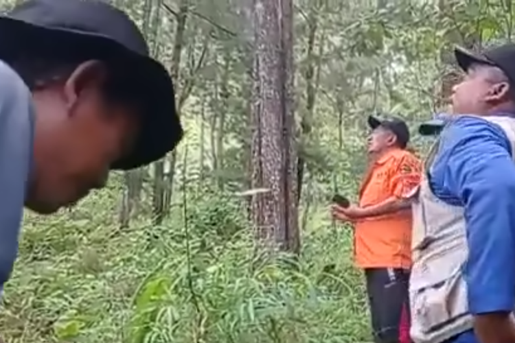 Tim relawan dan petugas setempat berusaha membujuk pria nekat pemanjat pohon pinus setinggi 20 meter di Pemalang, Jawa Tengah.