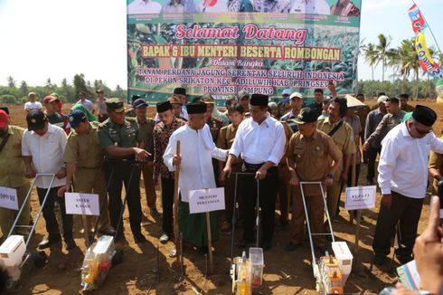 Kementerian Pertanian Gandeng PBNU Tanam Jagung Se-Indonesia