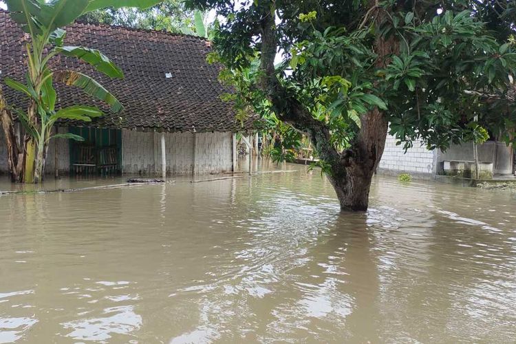 Kondisi Banjir akibat Sungai Bengawan Solo meluap di Desa Patihan, Kecamatan Widang, Kabupaten Tuban, Selasa (12/3/2024).