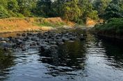 AHY Soroti Pencemaran dan Sedimentasi Sungai, Dorong Pengelolaan Air Terpadu