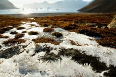 Permafrost Arktik Meleleh, Jutaan Galon Merkuri Bisa Lepas ke Lautan