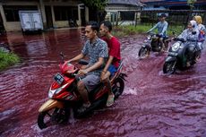 Geger, Air Banjir di Pekalongan Berwarna Merah